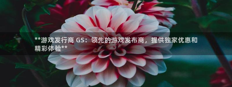 顺盈娱乐平台提现被关闭怎么回事儿啊安全吗：**游戏发行商 GS：领先的游戏发布商，提供独家优惠和
精彩体验**