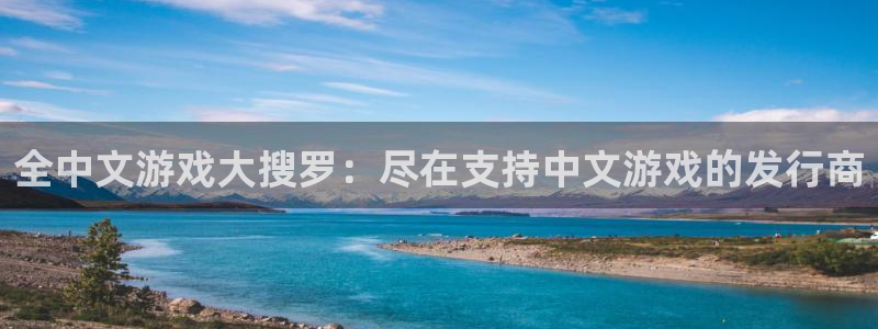 顺盈娱乐平台：全中文游戏大搜罗：尽在支持中文游戏的发行商