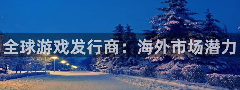 顺盈娱乐的员工待遇怎么样：全球游戏发行商：海外市场潜力