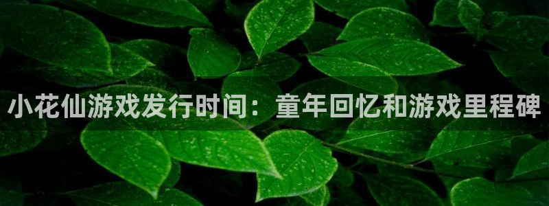 顺盈娱乐登录平台是什么平台啊：小花仙游戏发行时间：童年回忆和游戏里程碑