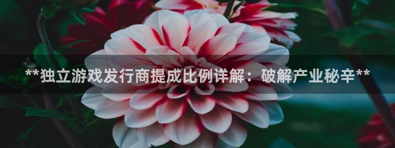 顺盈娱乐平台提现被关闭怎么回事啊苹果手机：**独立游戏发行商提成比例详解：破解产业秘辛**