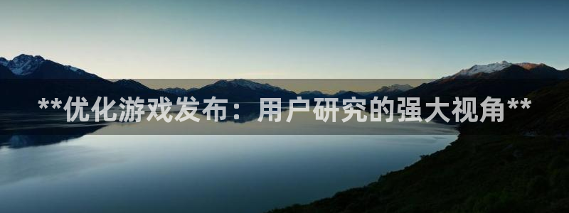 顺盈娱乐登录平台：**优化游戏发布：用户研究的强大视角**