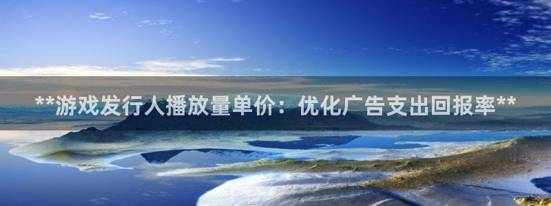 顺盈平台注册流程视频：**游戏发行人播放量单价：优化广告支出回报率**