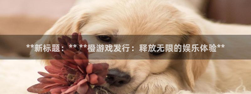 顺盈娱乐慌 692687：**新标题：** **橙游戏发行：释放无限的娱乐体验**