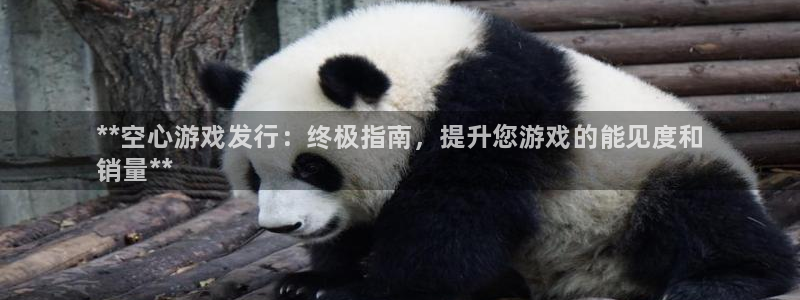 顺盈平台注册地址在哪里：**空心游戏发行：终极指南，提升您游戏的能见度和
销量**