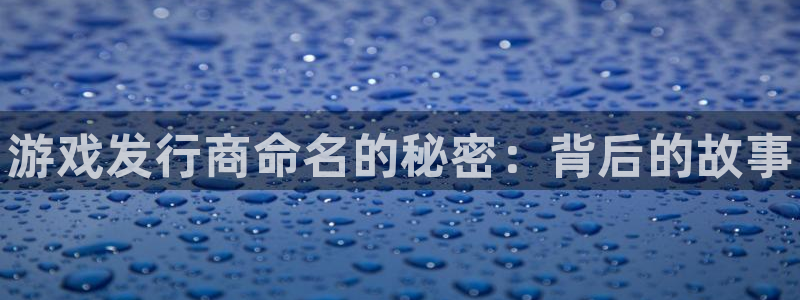 顺盈娱乐官网首页入口网站：游戏发行商命名的秘密：背后的故事