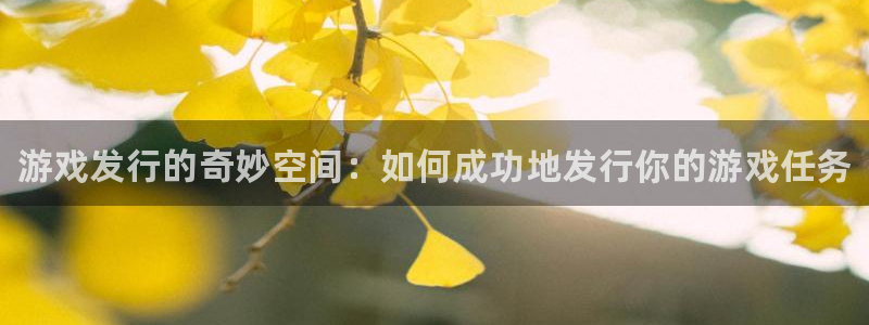 顺盈娱乐公司介绍图片大全