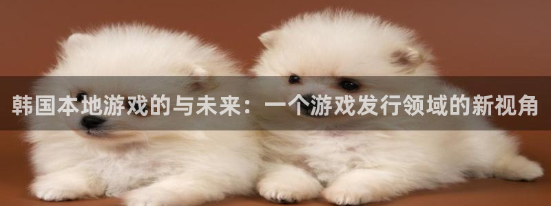 顺盈平台主管：韩国本地游戏的与未来：一个游戏发行领域的新视角