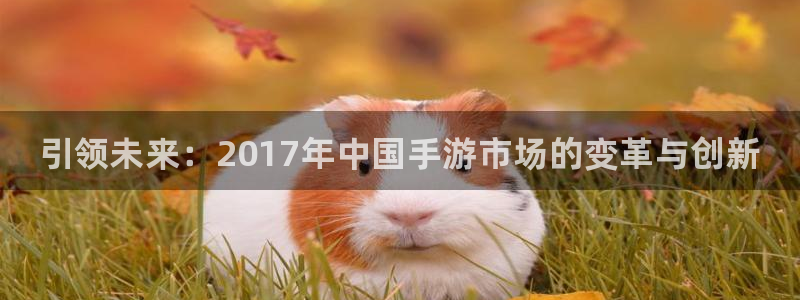 顺盈娱乐官网首页入口网址：引领未来：2017年中国手游市场的变革与创新