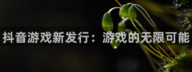 顺盈娱乐公司介绍图片大全：抖音游戏新发行：游戏的无限可能