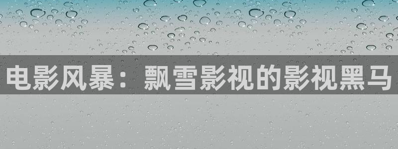 开心影院网址：电影风暴：飘雪影视的影视黑马