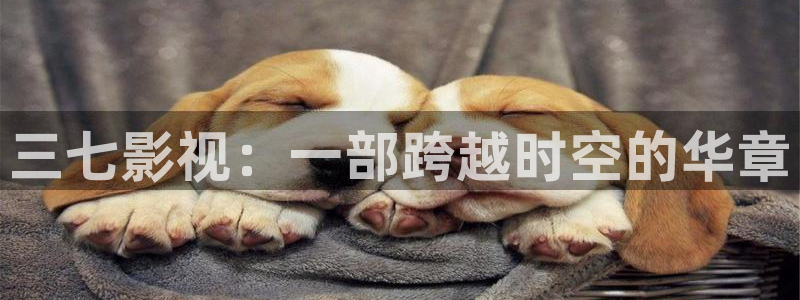 开心影院免费观看电视剧大全