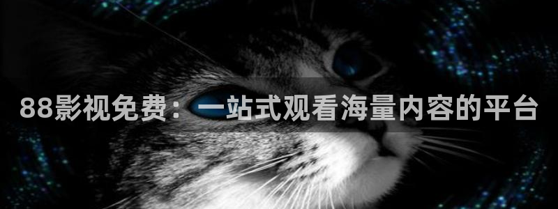 开心影院免费完整播放电视剧