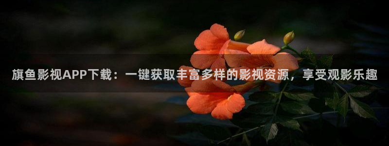开心影院电视剧在线观看