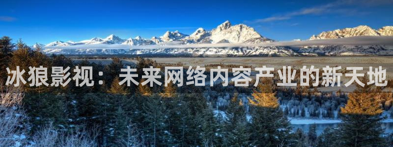 开心影院在线电视剧免费观看：冰狼影视：未来网络内容产业的新天地