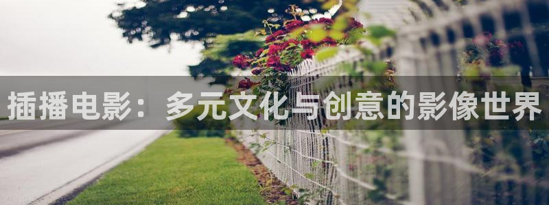 开心影院-最新电影电视剧排行榜-开心：插播电影：多元文化与创意的影像世界