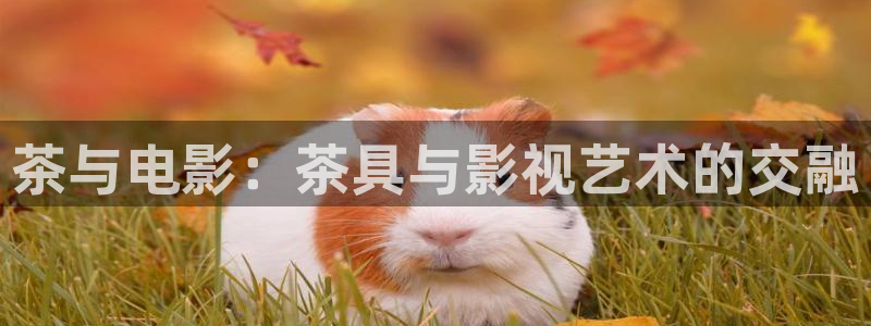 开心影院app：茶与电影：茶具与影视艺术的交融