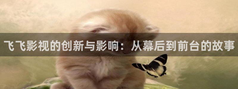 午夜开心影院：飞飞影视的创新与影响：从幕后到前台的故事